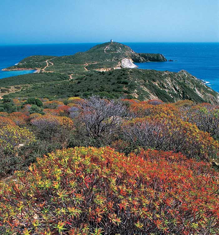 Una delle torri che sorvegliano la Costa del Sud (CA)