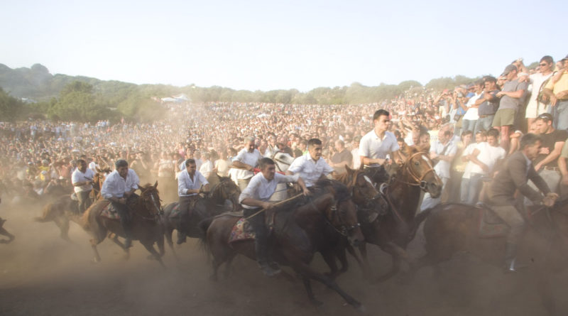 L'Ardia è una corsa sfrenata a cavallo fatta in onore di San Costantino, che si svolge ogni anno a Sedilo la sera del 6 luglio e si ripete la mattina del 7 e ricorda la battaglia di Ponte Milvio tra Costantino e Massenzio.