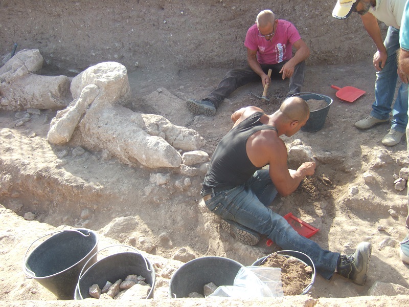 MONTE PRAMA-studi laboratori di bioaercheologia sassari