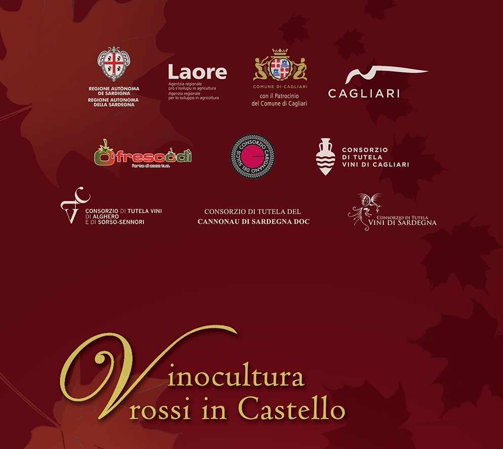 “Vinocultura - Rosso in Castello” quartiere di Castello 24 aprile 2015 Cagliari.