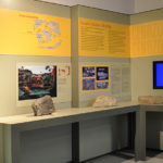 Il Museo PalaeoAmbienti Sulcitani-PAS E.A. Martel presso la Grande Miniera di Serbariu a Carbonia partecipa alla Settimana del Pianeta Terra 2016.