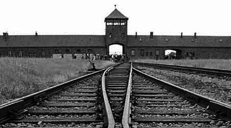 Buchenwald di Massimiliano Rosa. I ricordi e le memorie di un sardo sopravvissuto all'Olocausto, raccolte dal nipote lo scrittore e linguista Massimiliano Rosa che ci aiuta così a non dimenticare attraverso la tragica esperienza del nonno sopravvissuto miracolosamente al campo di concentramento nazista di Buchenwald. Campo di Concentramento di Buchenwald.